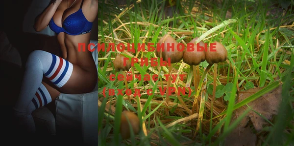 спайс Михайлов