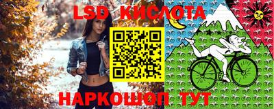 скорость Аргун
