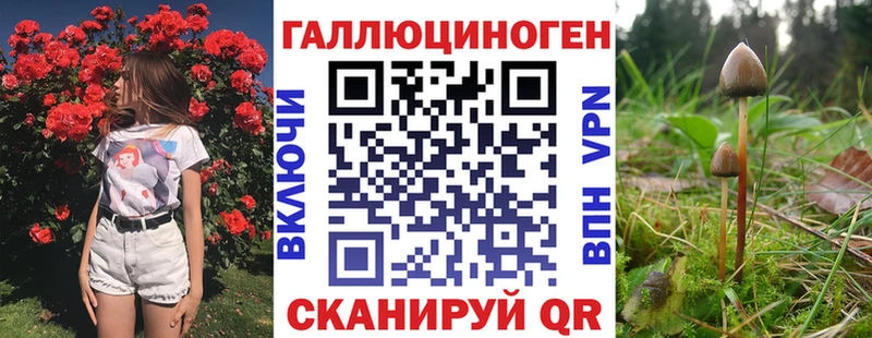Псилоцибиновые грибы мухоморы Дедовск