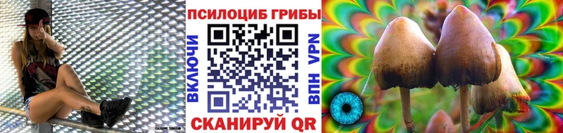 Галлюциногенные грибы GOLDEN TEACHER  mega ссылки  Дедовск 